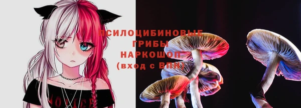 дмт Майский