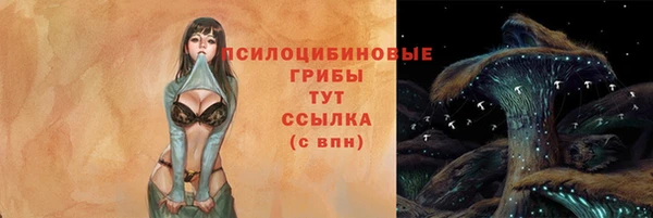 МДПВ Магас