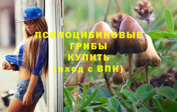МДПВ Магас