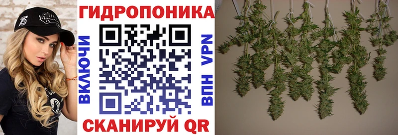 купить наркотики цена  Сердобск  Конопля планчик 